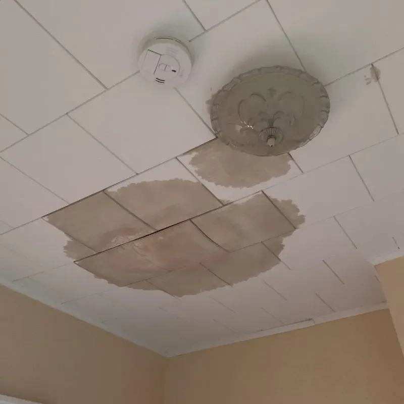 Ceiling Water Damage Repair in Needham, MA